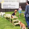 Súprava PawHut na agility pre psov, konštrukcia na výcvik Náhľad obrázku produktu 5