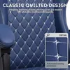 1 Stück Gaming Stuhl,Mit Kissen,Taillenkissen und Produktbild-Vorschau 3