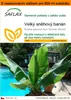 SAFLAX Garden in the bag - Velký sněhový banán - Ensete Náhled obrázku produktu 1