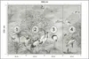 Fototapeta Ścienna Styl Vintage ŻURAWIE Ptaki Natura Mural Podgląd zdjęcia produktu 2