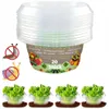 20 Stück Schneckenschutzring Set, Schneckenschutz Produktbild-Vorschau 1