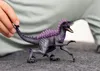 Stínový dravec Náhled obrázku produktu 21