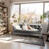 A dog is relaxing on a sofa in a well-lit living room with a large window. Voir les images du produit
