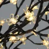 A close-up view of a decorative LED light string shaped like cherry blossoms on dark branches. Produktbild-Vorschau