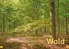 WAS IST WAS Erstes Lesen Band 6. Wald Produktbild-Vorschau 2
