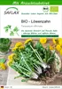 SAFLAX - BIO - Löwenzahn - Taraxacum officinale - 400 Samen Produktbild-Vorschau 1