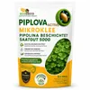 EcoDeco mikroďatelina Euromic 500 g, trávne osivo pre šport Náhľad obrázku produktu 17