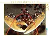 Calvendo Europäischer Hummer 1000 Teile Puzzle quer Produktbild-Vorschau 3