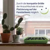 Anzuchtschale Zimmergewächshaus Anzuchtset Anzuchtkasten Produktbild-Vorschau 4
