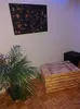 Grosse Holztruhe 80er  geflammt mit Deckel  80x50x39cm Produktbild-Vorschau 11