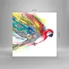 Bilder auf glas - Parrot Flügel Federn Natur - 60x60cm - Produktbild-Vorschau 3
