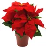 Flor de Pascua "Seide" en maceta, diámetro 16 cm, altura 27 Vista previa de la imagen del producto 2