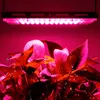 A pink LED grow light illuminates a plant with large, dark red leaves. Produktbild-Vorschau