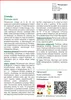 SAFLAX - Cowslip - 100 Nasiona - Primula veris Podgląd zdjęcia produktu 3