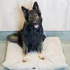 4L Textil MOLLY Hundekissen flauschig Cord Hundebett Grosse Produktbild-Vorschau 6