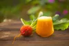 SAFLAX - BIO - Zlatá řepa - Beta vulgaris - 50 Semena Náhled obrázku produktu 6