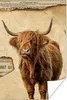 MuchoWow® Poster Schottischer Highlander - Vintage - Produktbild-Vorschau 1