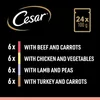 CESAR® Portionsbeutel Multipack Selection in Sauce 4 Produktbild-Vorschau 8