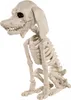Pudel Hundeskelett als Halloween Dekoration 25 cm Produktbild-Vorschau 1