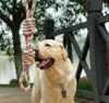 EDIBAZZAR | Anello di dentizione in corda per cani, grande, Anteprima dell’immagine prodotto 20