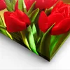 Bild auf Leinwand - Leinwandbild - Tulpen Blumen Feld Produktbild-Vorschau 5