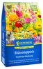 Artikelbild 2 von 'Blumen-Mischung Blütenteppich (40 g)' aus der Kategorie Blumensamenmischung Produktbild-Vorschau