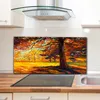 Coloray Spritzschutz aus Glas 140x70  Wandkunst Produktbild-Vorschau 3
