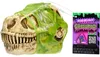 MGA Dino dans un crâne slime 121046 121053 /8/16 Voir les images du produit 7