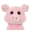 Laber Schwein Kuscheltier mit Sprachwiedergabe Produktbild-Vorschau 2