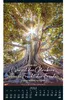 Alles in uns schweige 2027 Wandkalender mit christlichen Produktbild-Vorschau 13