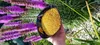 Natural Food Kvetový peľ | Včelí peľ z najčistejších lúk v Náhľad obrázku produktu 4