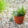 Pot de fleurs en terre cuite Classic Round 45x43 cm Hardy Voir les images du produit 6