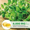 Capsule di olio di origano 6000 mg 300 mg di olio di Anteprima dell’immagine prodotto 6