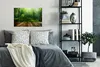 MuchoWow® Poster Boden - Holz - Dschungel - Jungen - Produktbild-Vorschau 4