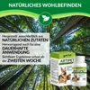 Artipet, suplement diety dla psów na stawy | 180 tabletek Podgląd zdjęcia produktu 6