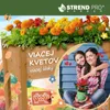 A mother and daughter are smiling and embracing, with a raised garden bed filled with colorful flowers in the background. The scene is set outdoors, possibly on a porch or patio, with a blue wooden wall behind them. Anteprima dell’immagine prodotto