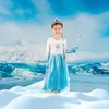 Kostým Elsa, kostýmní párty, karneval, princezna, šaty, Náhled obrázku produktu 2