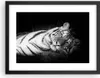 Gerahmtes Poster - Schwarzer Rahmen - Weiß Tiger Schwarz Produktbild-Vorschau 1