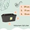 2er Set Wand Blumentopf im Set Wandblumentopf Wandtopf Produktbild-Vorschau 2