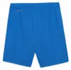 Puma Teamrise Shorts Kinder - Royal Produktbild-Vorschau 4