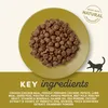 APPLAWS, alimento seco para gatos, sabor a pollo y cordero, Vista previa de la imagen del producto 3