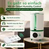 WOHLGRÜN TAU360 Luftbefeuchter mit Fernbedienung und automatischer Luftfeuchtigkeitsregelung Produktbild-Vorschau