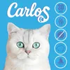 CARLOS Silikonowy bezwonny żwirek dla kota 8 x 3,8 l Podgląd zdjęcia produktu 8