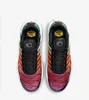 A top-down view of a pair of Nike Air Max Plus sneakers. Anteprima dell’immagine prodotto