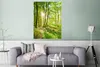 MuchoWow® Poster Natur - Bäume - Wald - Grün - Sonnenlicht Produktbild-Vorschau 5