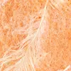 Wollfilzband mit echten Federn in Orange 15cm x 5m - Ideal Produktbild-Vorschau 2