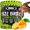 Creatina Creatina Malato Real Pharm Size Grow 675 g Anteprima dell’immagine prodotto 4
