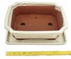 vaso per bonsai con sottovaso, misura 4 - rettangolare g4 - Anteprima dell’immagine prodotto 2