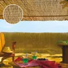 Ombrage Bambou Naturel Faura Brise-vue Naturel Résistant - Voir les images du produit 1