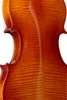 Stagg VN-1/2 L 1/2 Geige im Set mit Softcase Produktbild-Vorschau 2